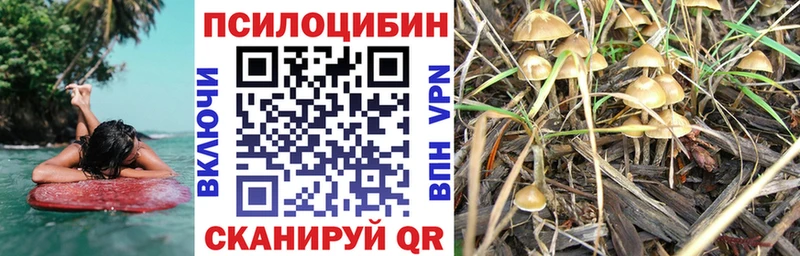 Псилоцибиновые грибы Psilocybine cubensis  Аткарск 